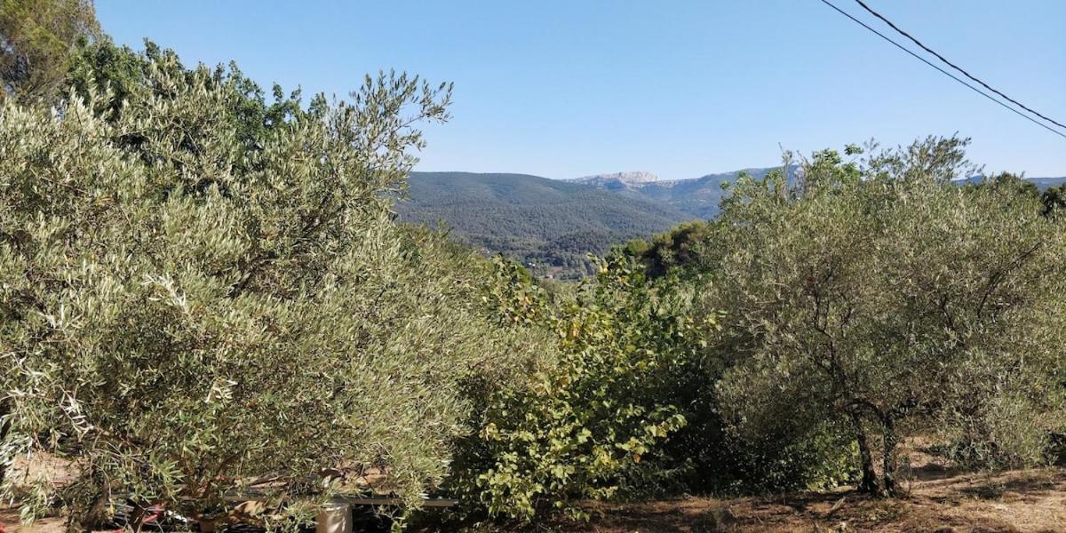 Villa Cigalons En Pleine Pinede Avec Piscine Chauffee De Mai A Septembre Auriol Εξωτερικό φωτογραφία