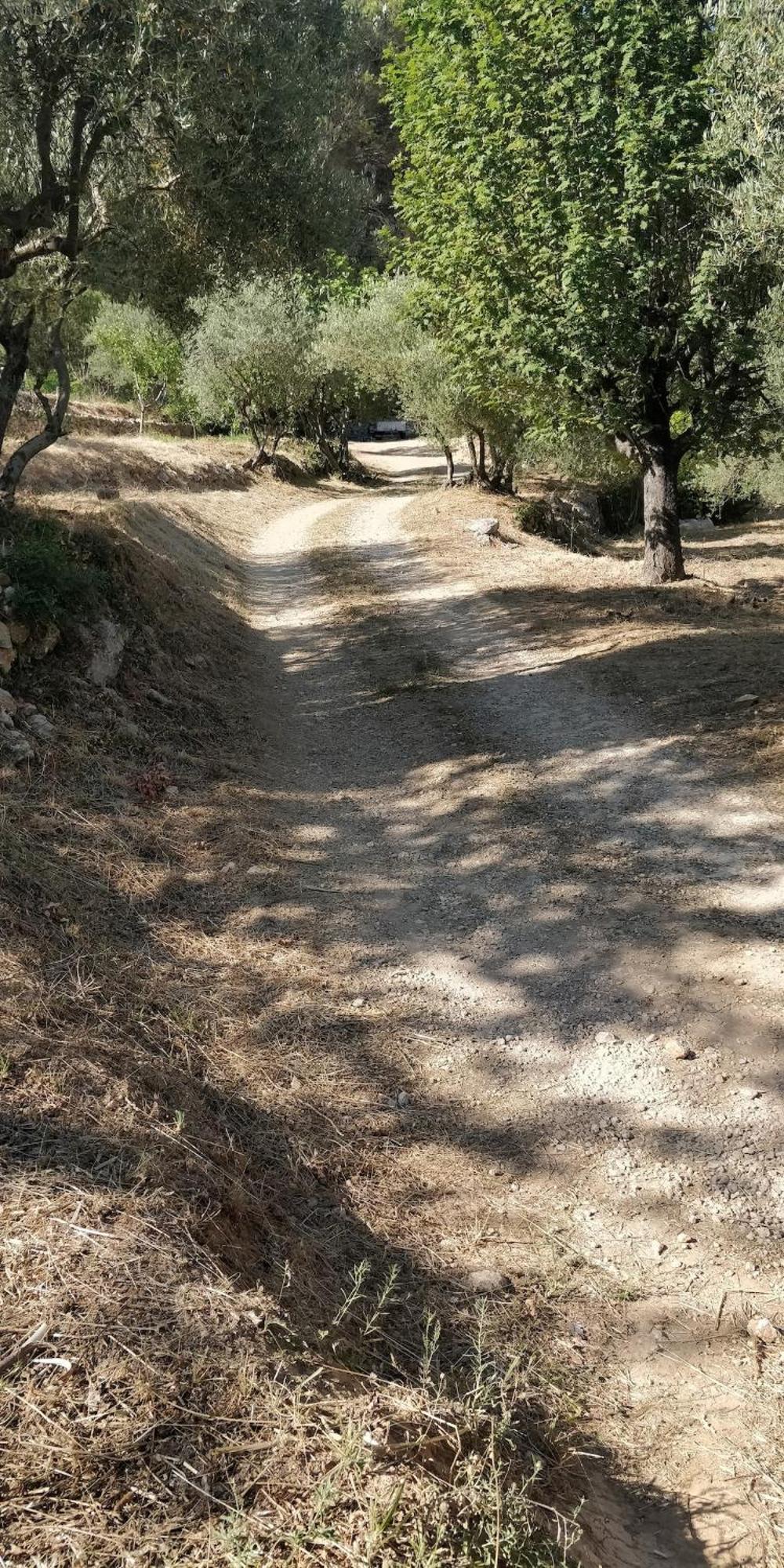 Villa Cigalons En Pleine Pinede Avec Piscine Chauffee De Mai A Septembre Auriol Εξωτερικό φωτογραφία